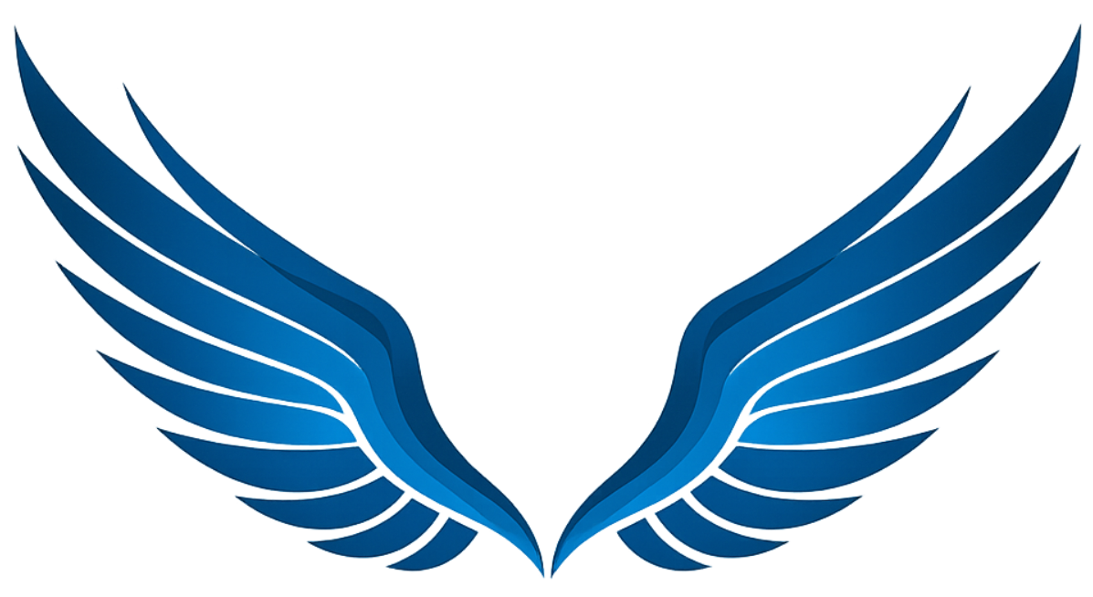 UAV Wings